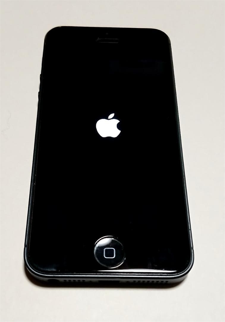 Softbank Apple iPhone 5 極上状態 MD297J 16GB