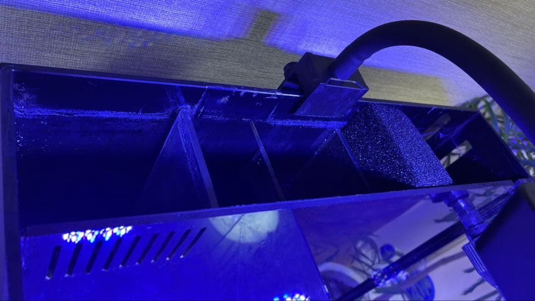 （送料込）オルカ shell2 オールインワンシステム水槽