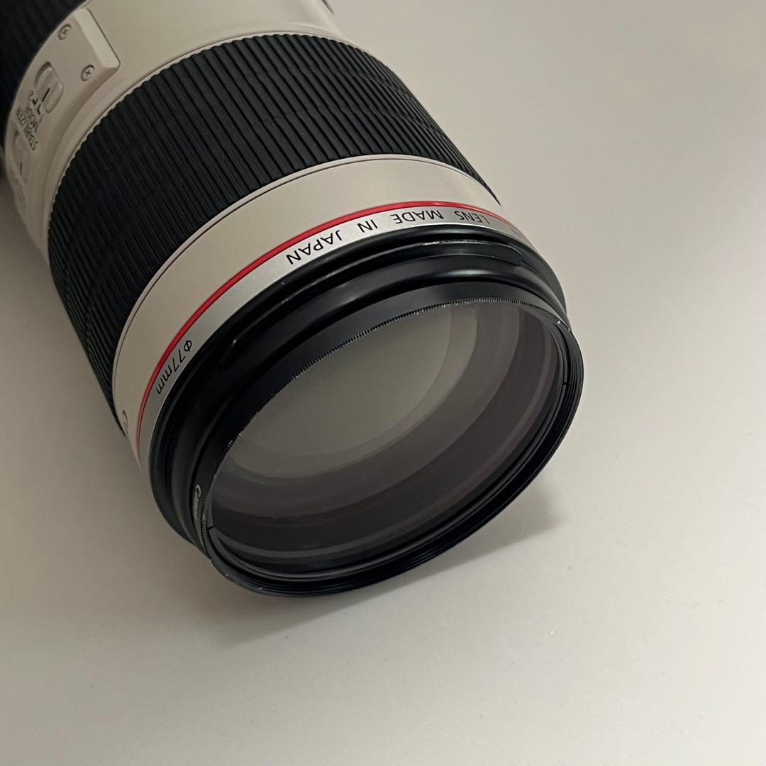 Canon EF 70-200mm f/2.8L IS II USM キャノン
