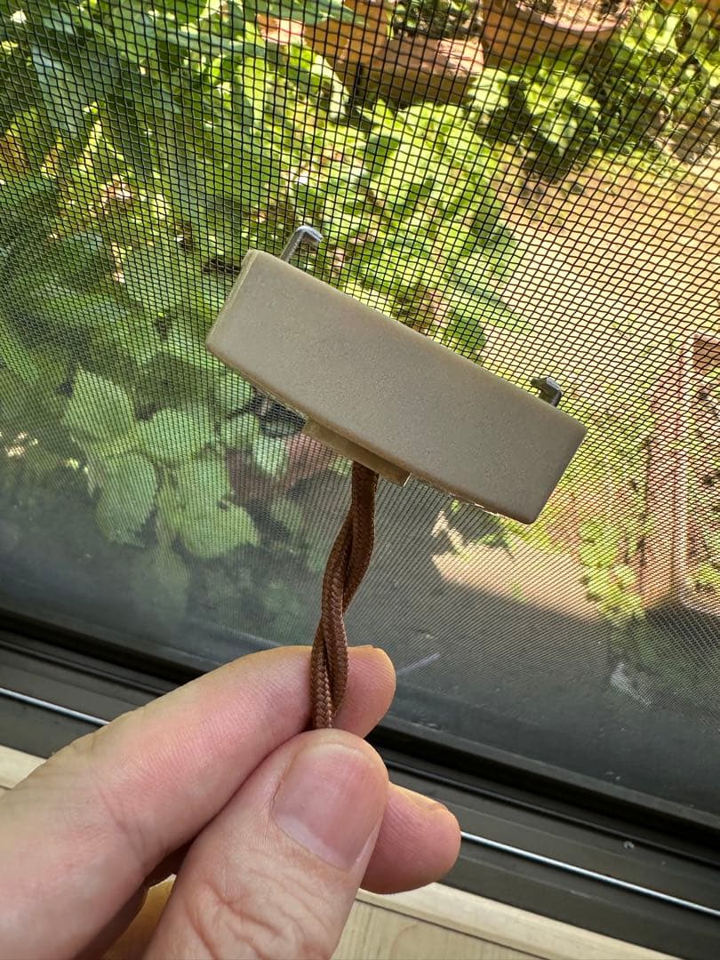 ＊thymeページになります＊