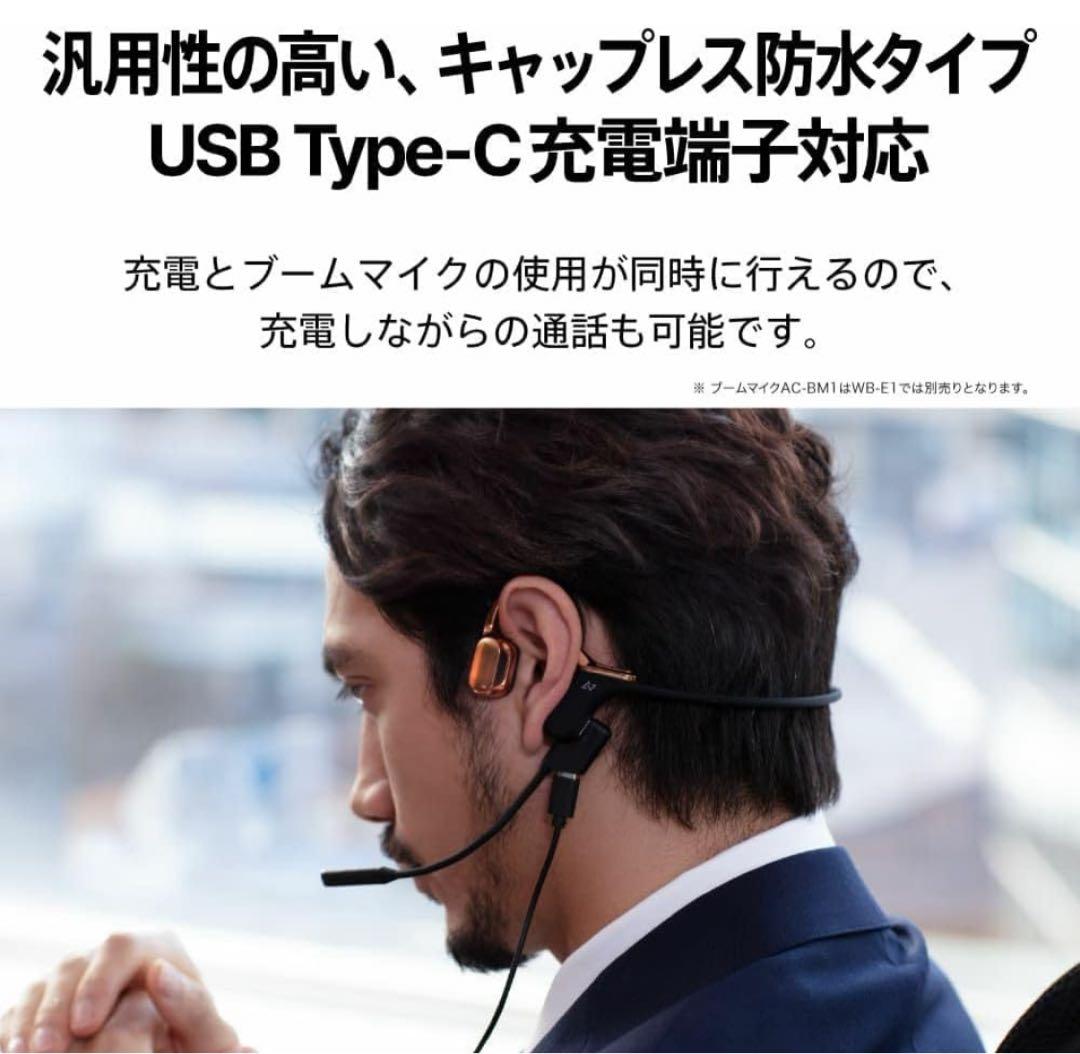 AVIOT ワイヤレスイヤホン WB-E1M　メタリックブラック　マイク付