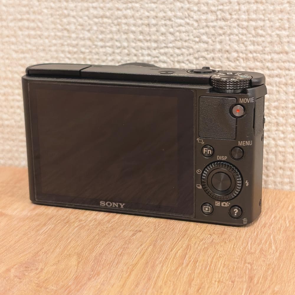 SONY サイバーショット DSC-RX100