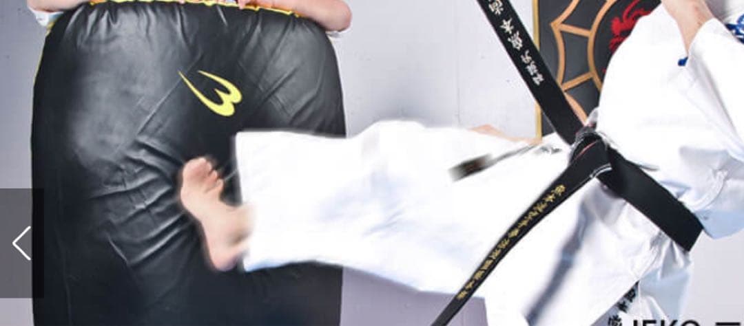 赤 スリーブロゴ パンチングミット 大阪付近配送いたします。