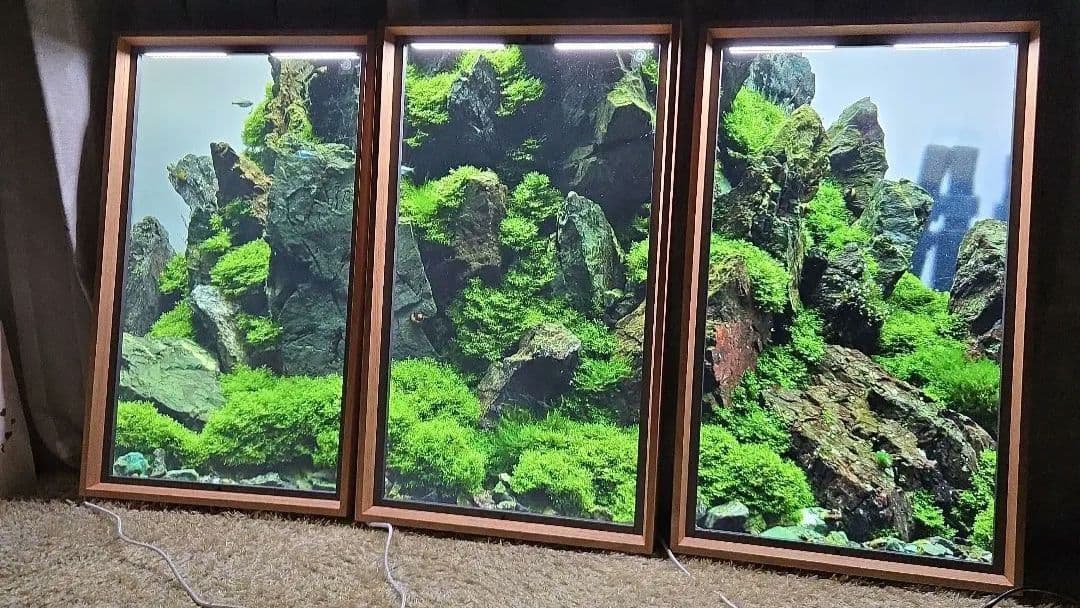 喫*店様 Atmoph Window2 カリモク 3台セット