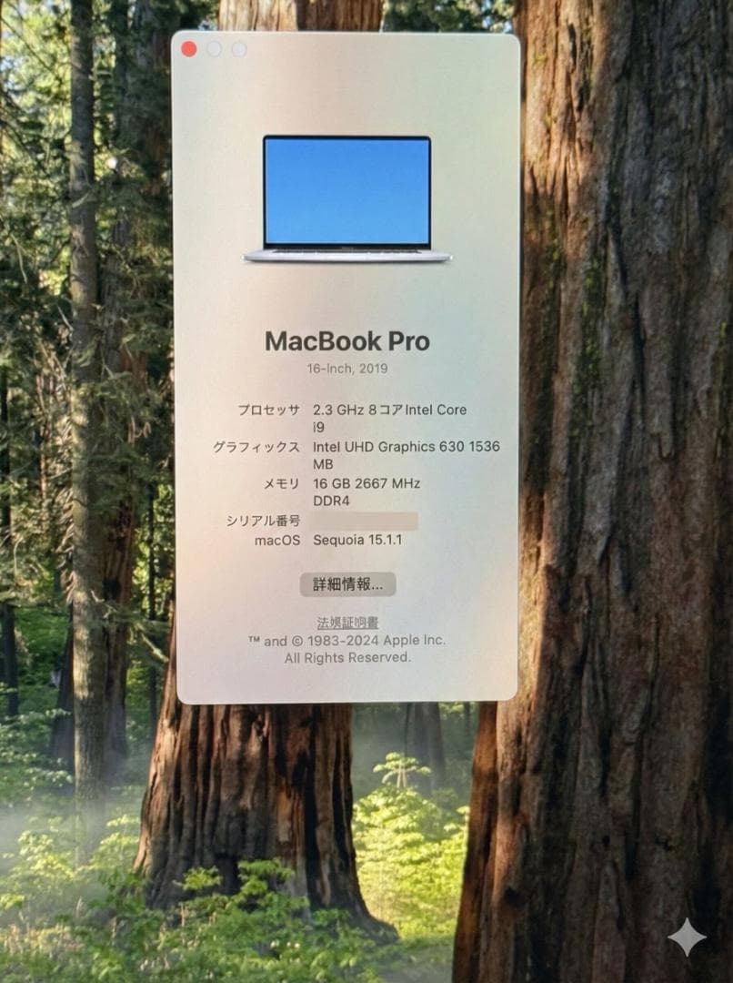 MacBook本体 MacBook Pro Intel /i9/16GB/1TB