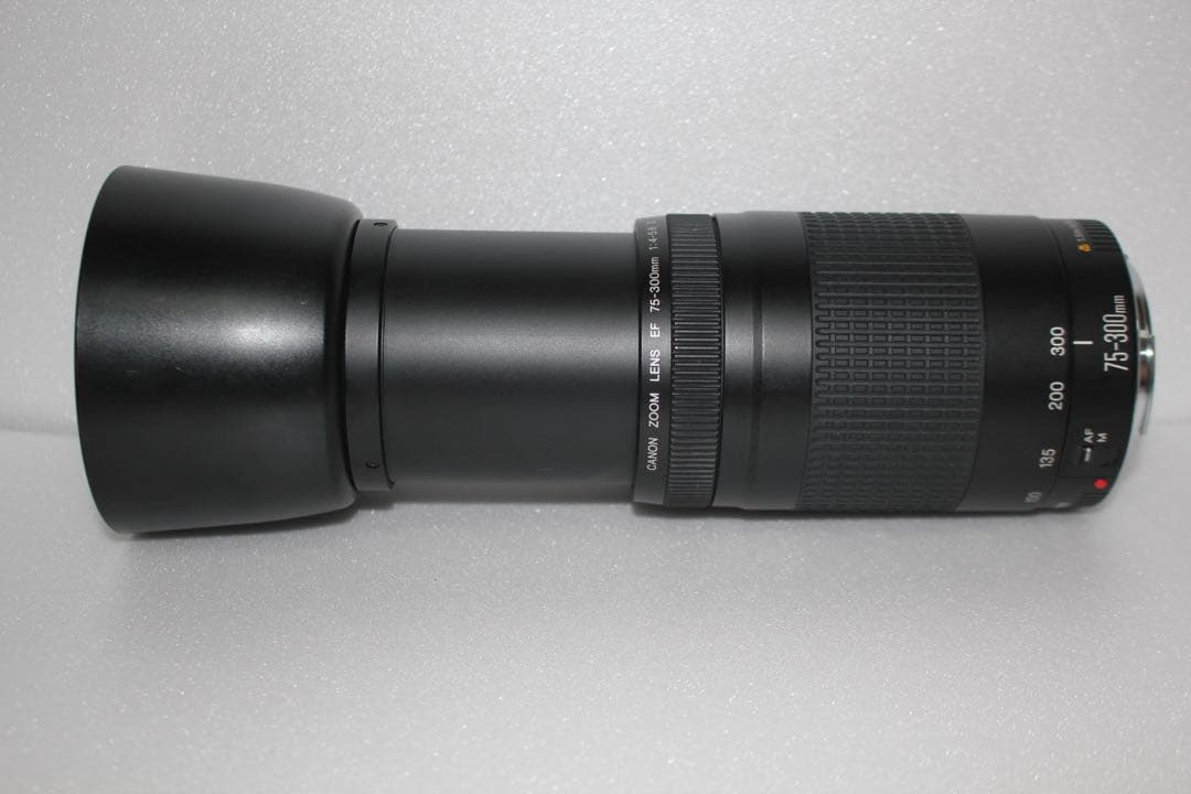 デジタル一眼レフカメラ/望遠レンズ/Canon EF75-300㎜