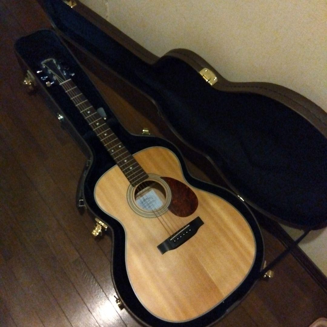 スタッフォード 　エレアコ　タカミネハードケース付き