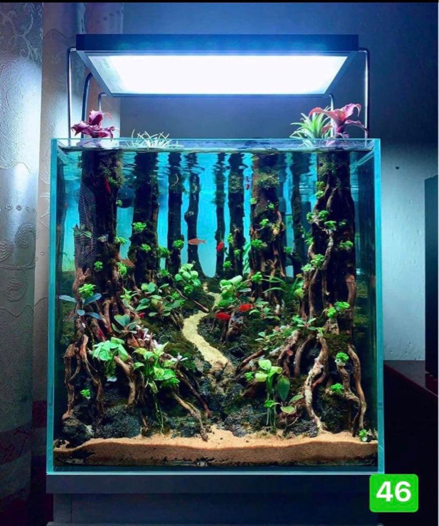 TTD 【⭐︎ hyunmin Chegal 様⭐︎】【美品・数量限定】