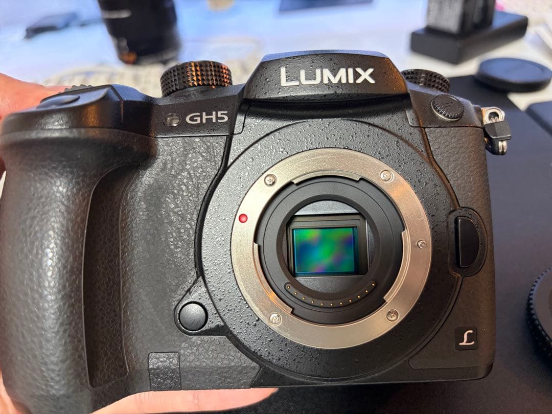 LUMIX GH5 デジタル一眼レフ　大容量電池2つ、純正1つ　128gb SD