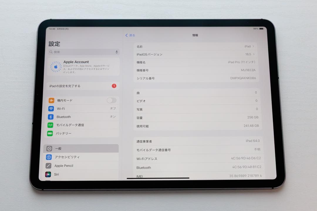 iPad Pro 11インチ 第1世代 256GB セルラーモデル