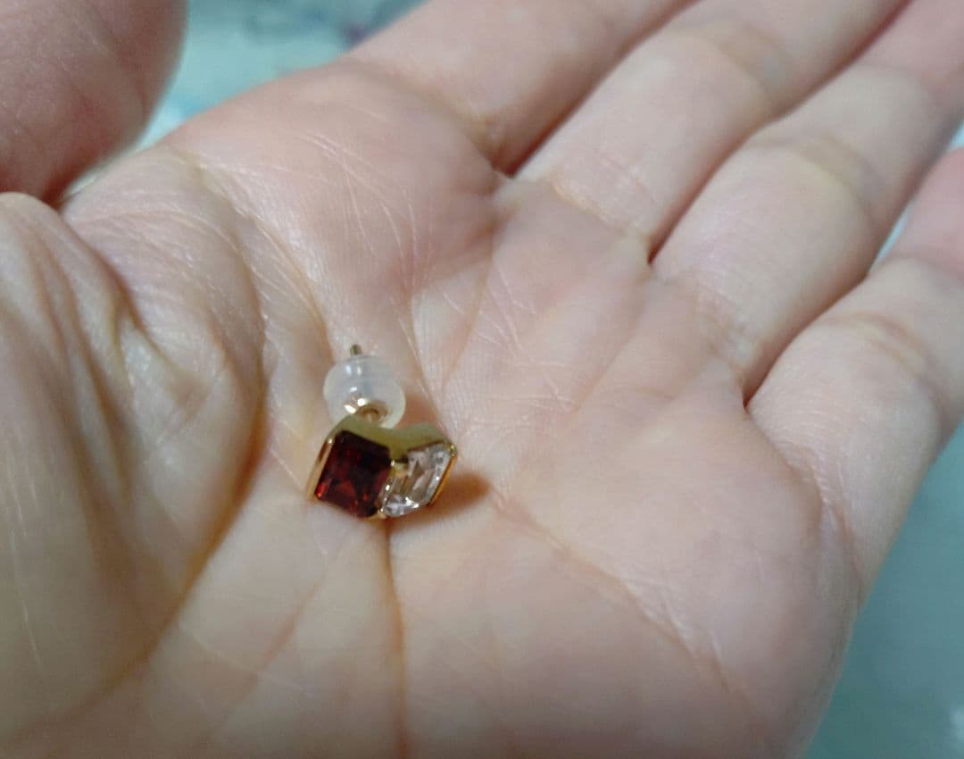 専用☆ヒロタカ　BIRD OF PARADISE ピアス