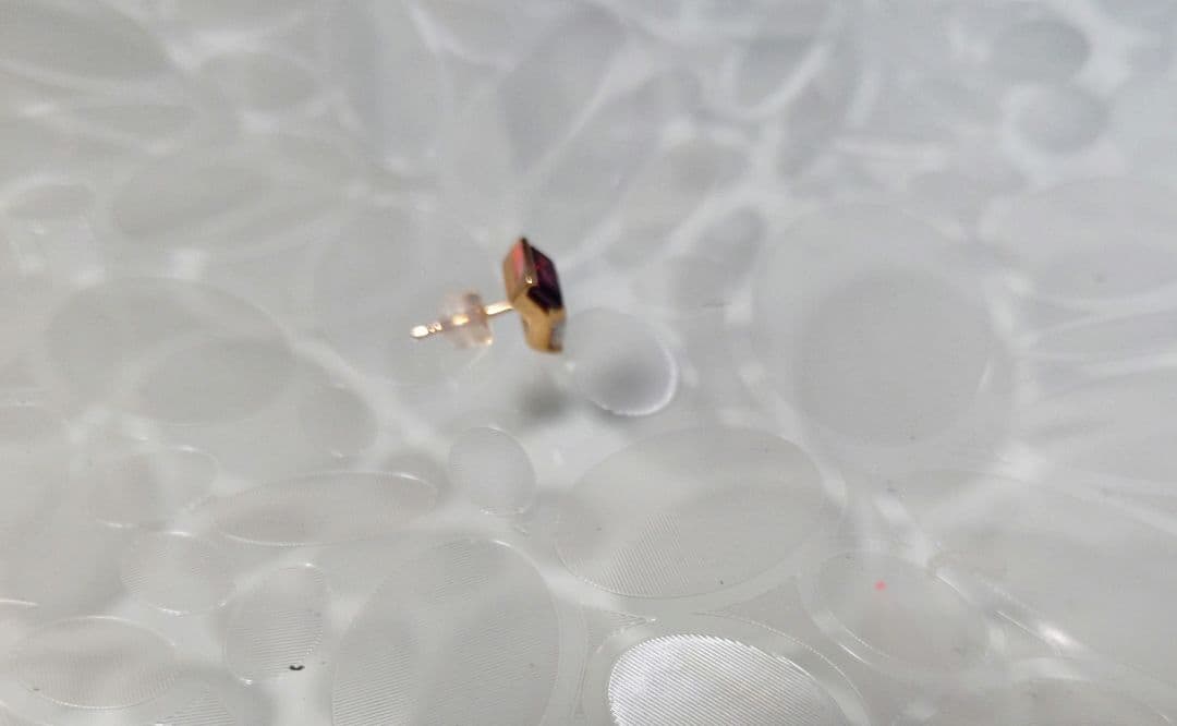 専用☆ヒロタカ　BIRD OF PARADISE ピアス