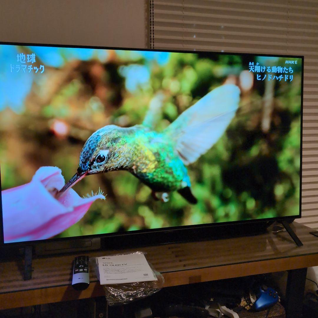 LG 有機EL テレビ 48型 OLED48A2PJA 2023年