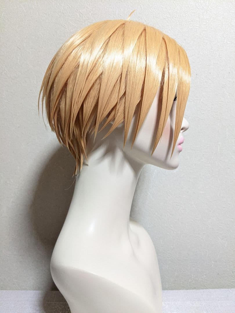 ✠朝倉 シン ウィッグ✠セット済 SAKAMOTODAYS