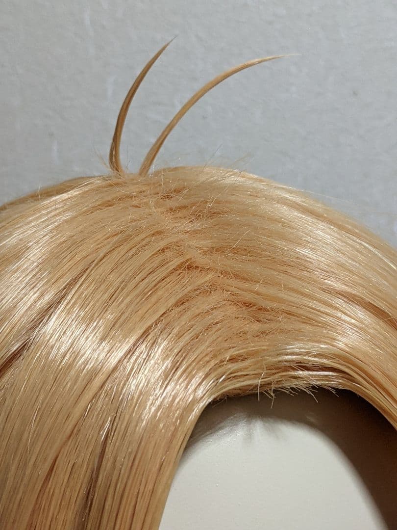 ✠朝倉 シン ウィッグ✠セット済 SAKAMOTODAYS