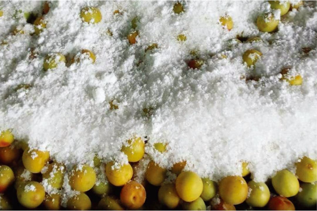 無添加つぶれ梅10kg白干し　4L