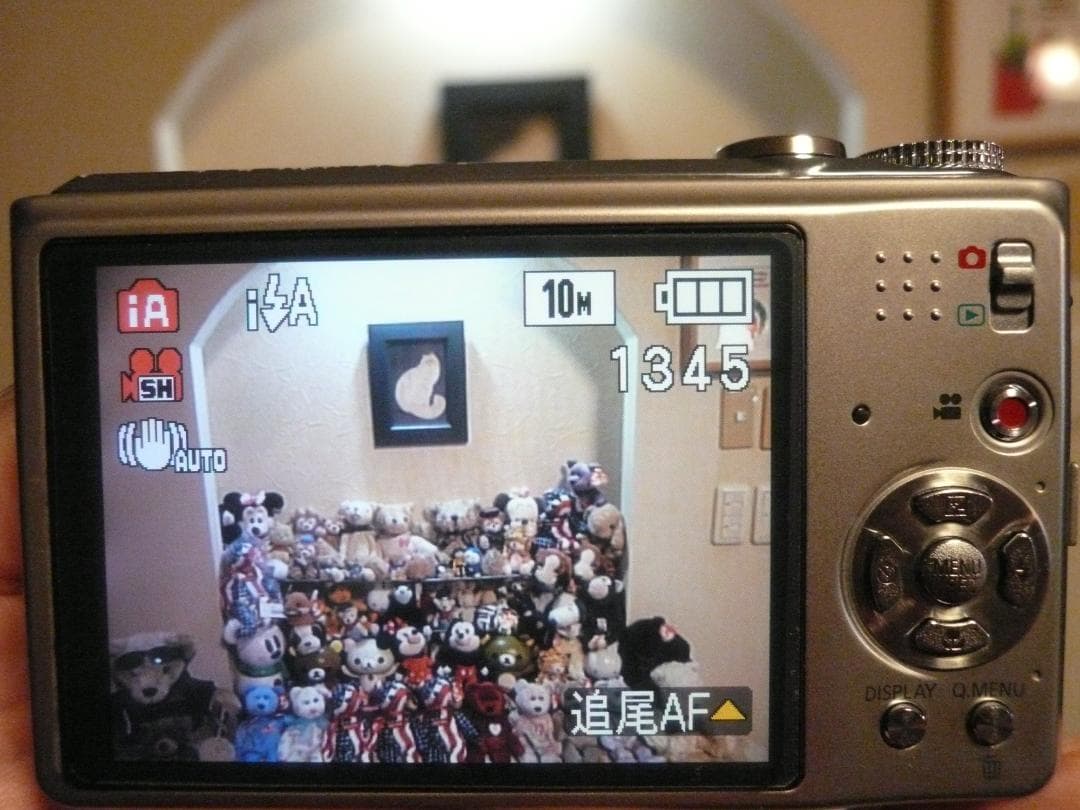 LUMIX★DMC-TZ7⭕️安心の実働品❤️光学12倍ズーム★1010万画素