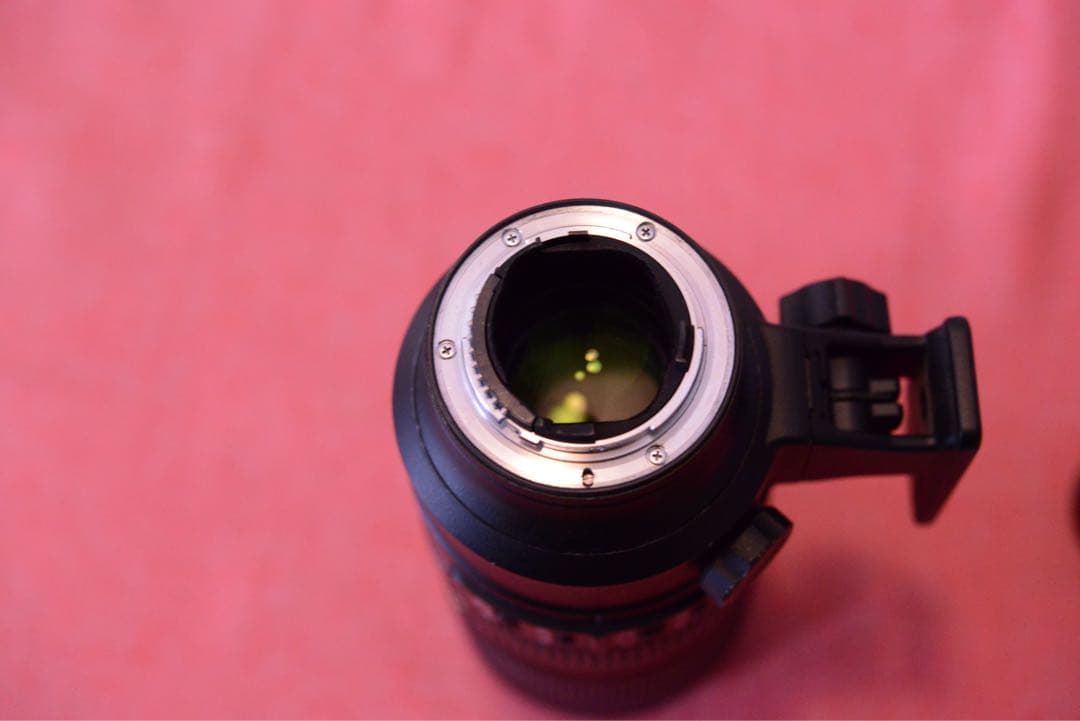 Nikon AF-S NIKKOR 70-200 f/2.8G ED VR Ⅱ