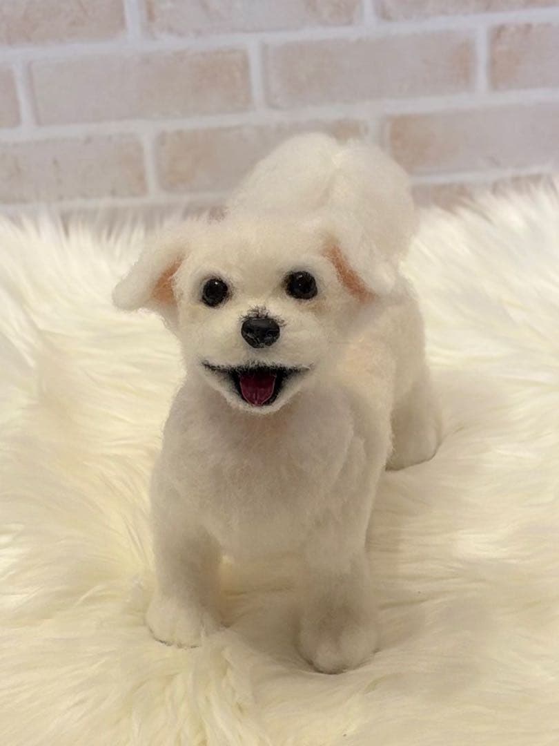 ジ*原様 羊毛フェルト　マルチーズ　momoichigo