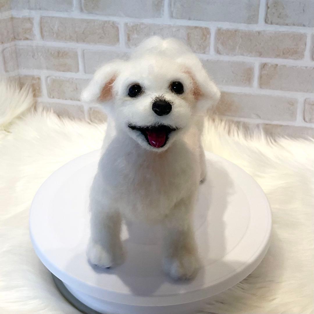 ジ*原様 羊毛フェルト　マルチーズ　momoichigo