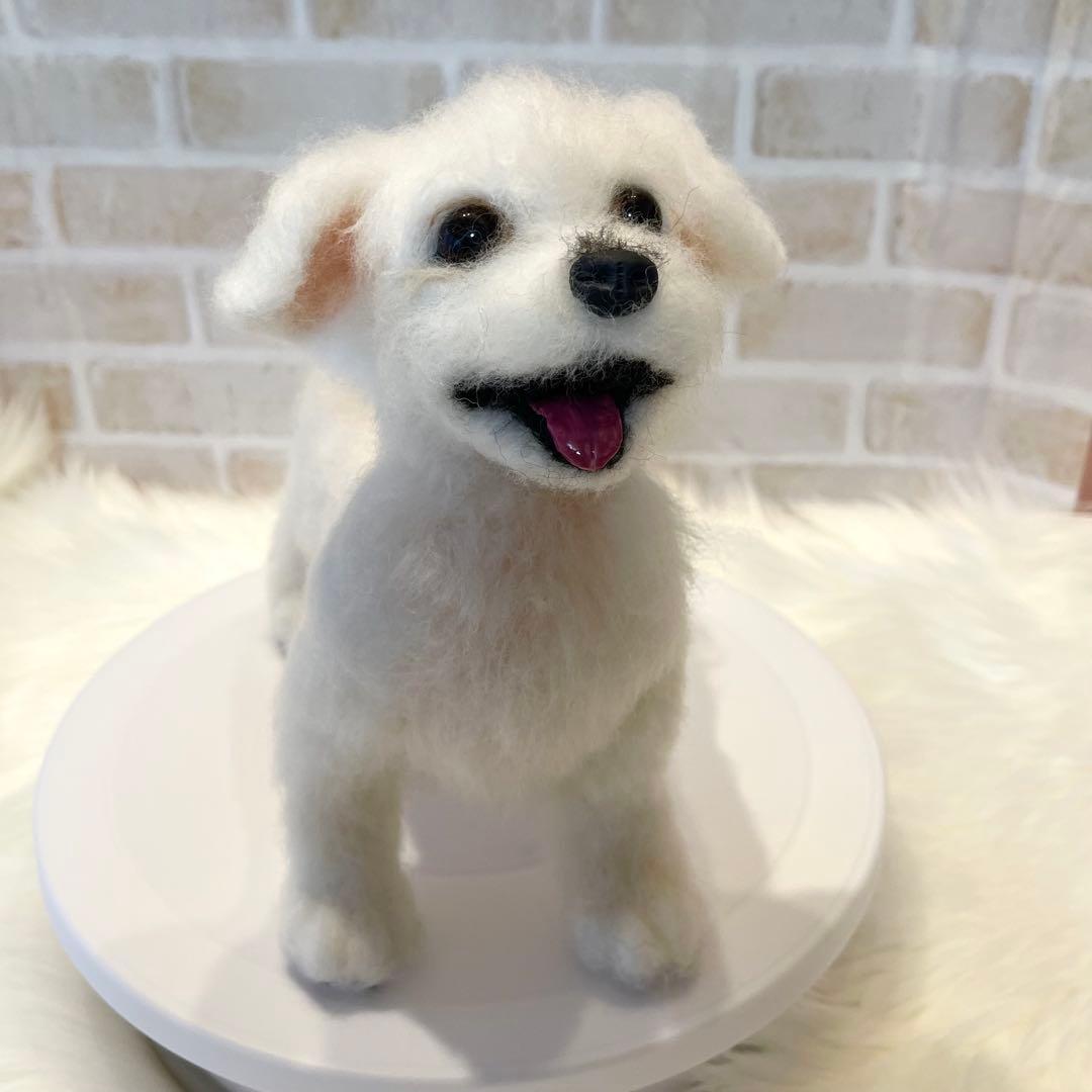 ジ*原様 羊毛フェルト　マルチーズ　momoichigo