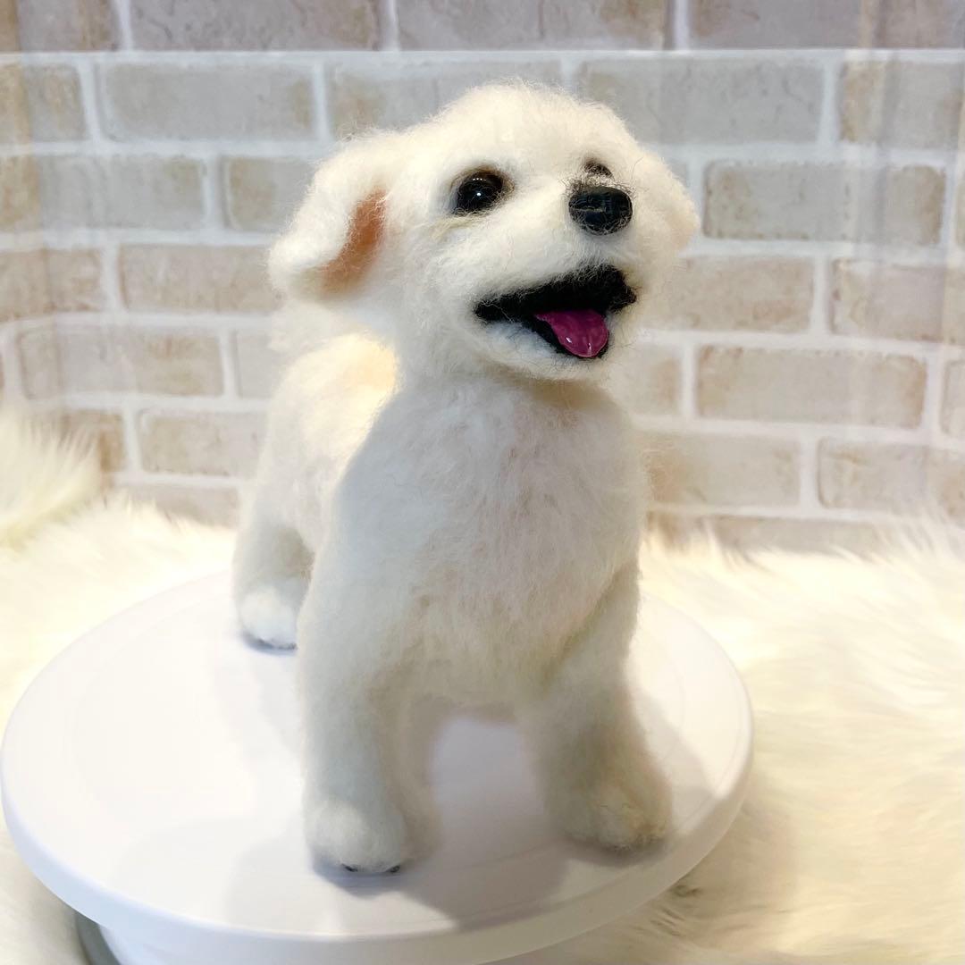 ジ*原様 羊毛フェルト　マルチーズ　momoichigo