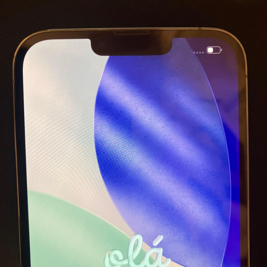 iPhone 13 Pro Maxシエラブルー 本体　カメラに傷ありSIMフリー