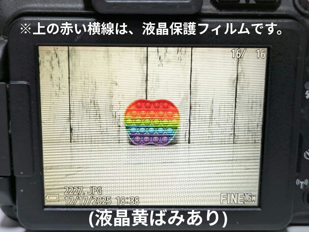 Nikon　COOLPIX P600