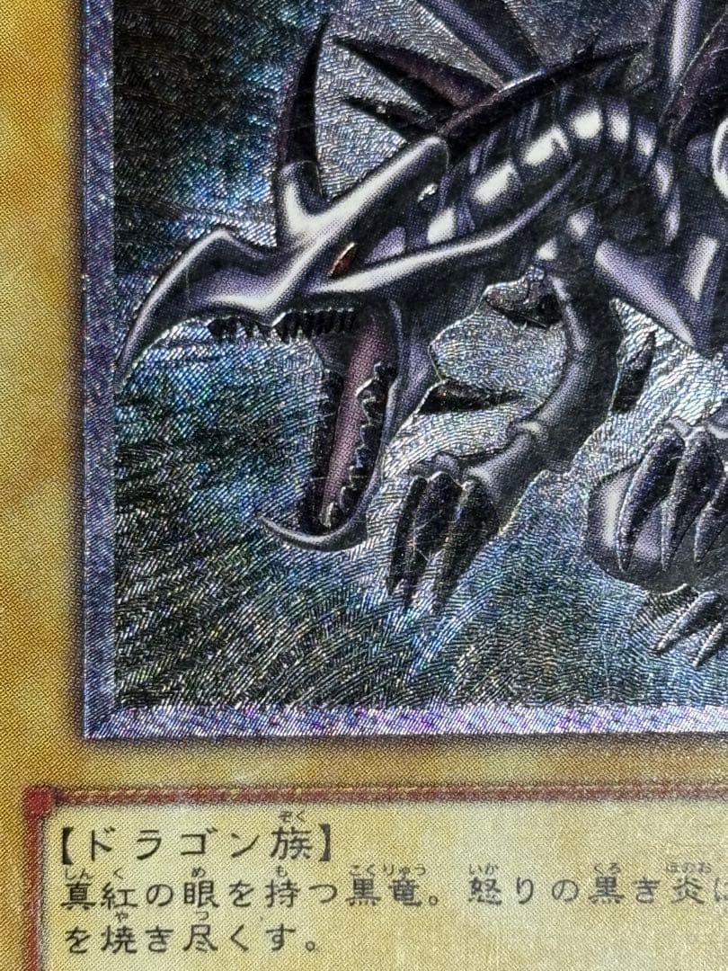 真紅眼の黒竜 レリーフ 親知らず 歴戦 301-056