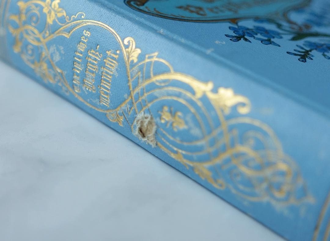 ドイツ 古書 アンティーク 勿忘草のメモリアルブック 青 洋書 希少 レア