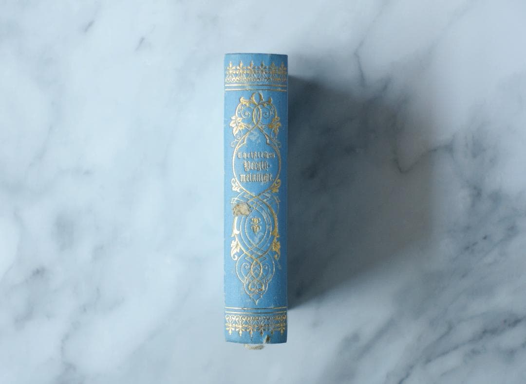 ドイツ 古書 アンティーク 勿忘草のメモリアルブック 青 洋書 希少 レア