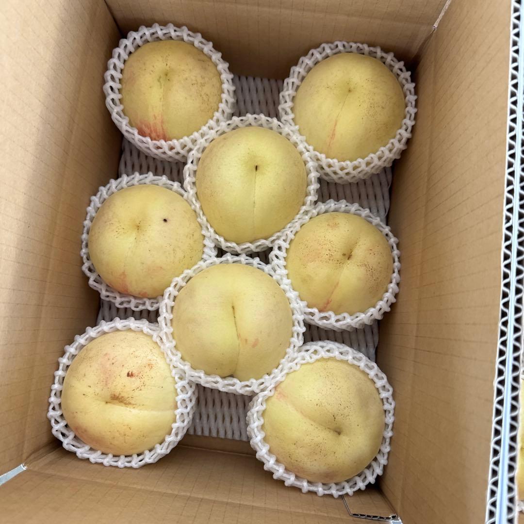 幻の桃　シーエックス