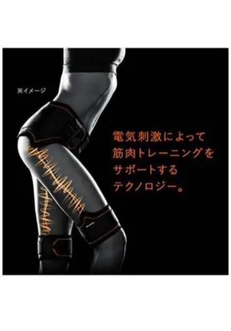 純正品シックスパッド ボトムベルトL