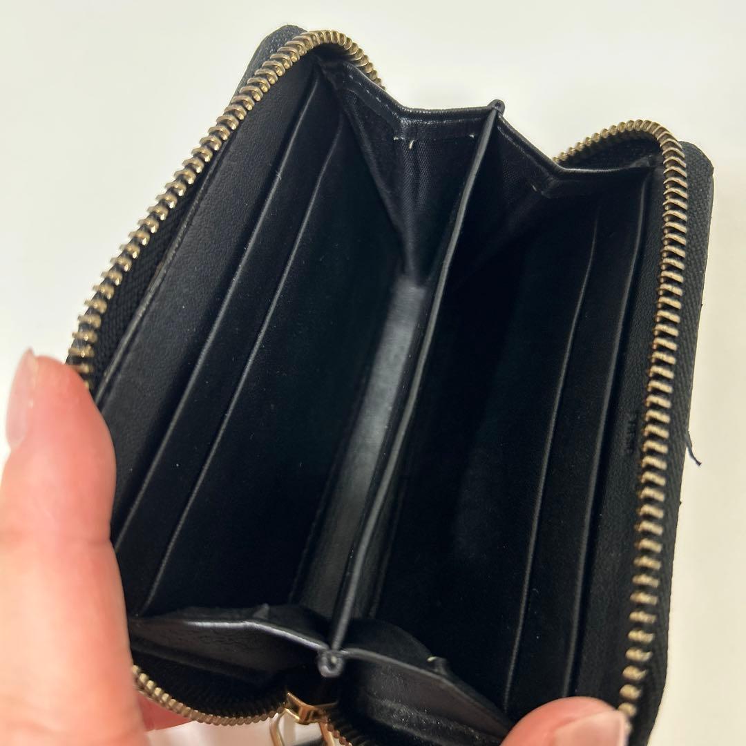 GIVENCHY ピーコック　ケース