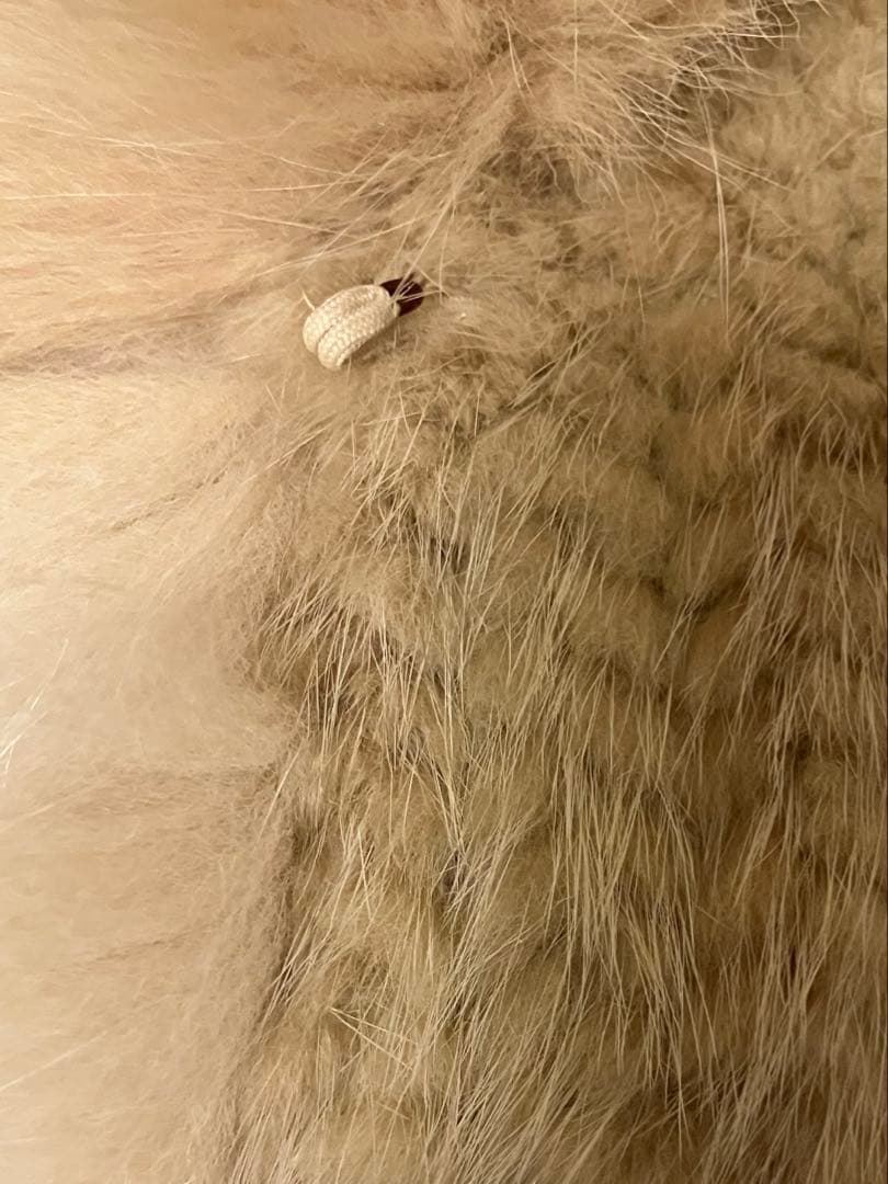 ルシェルブルー　ファーボレロ