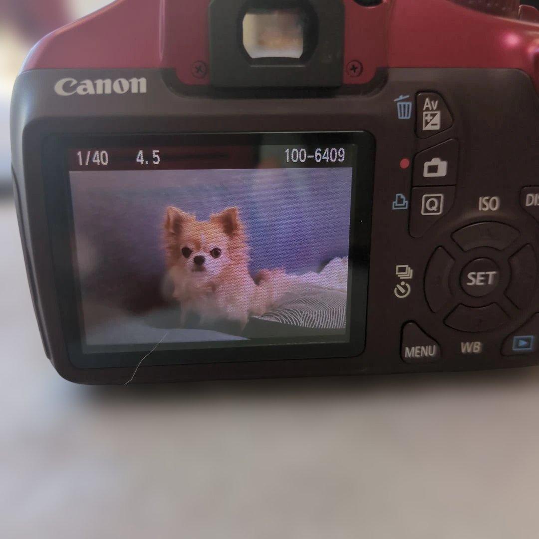 【美品】Canon EOS Kiss X50 望遠レンズセット★ベネトンバッグ付