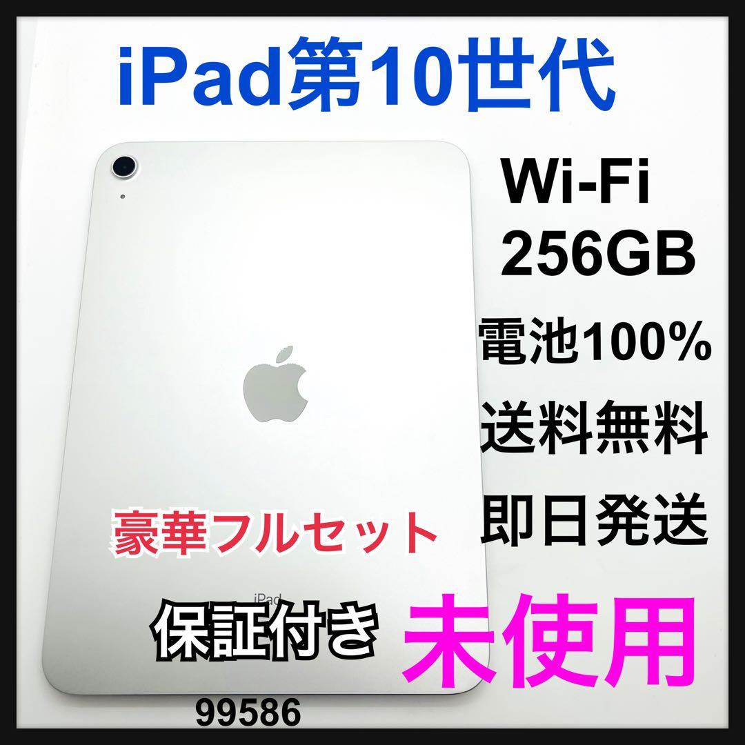 未使用　iPad10 第10世代　256 GB Wi-Fi シルバーpencil