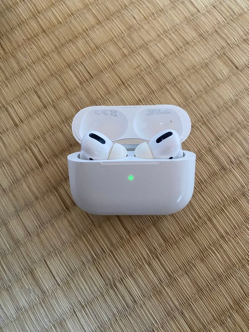 Apple AirPods Pro 本体　2021