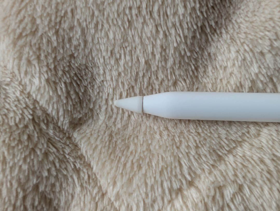 ipad pro 12.9 第5世代 128GB