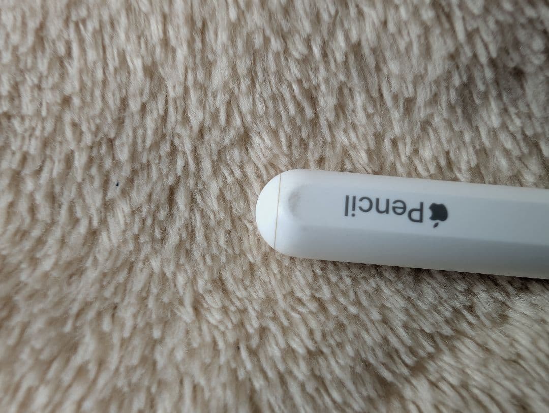 ipad pro 12.9 第5世代 128GB