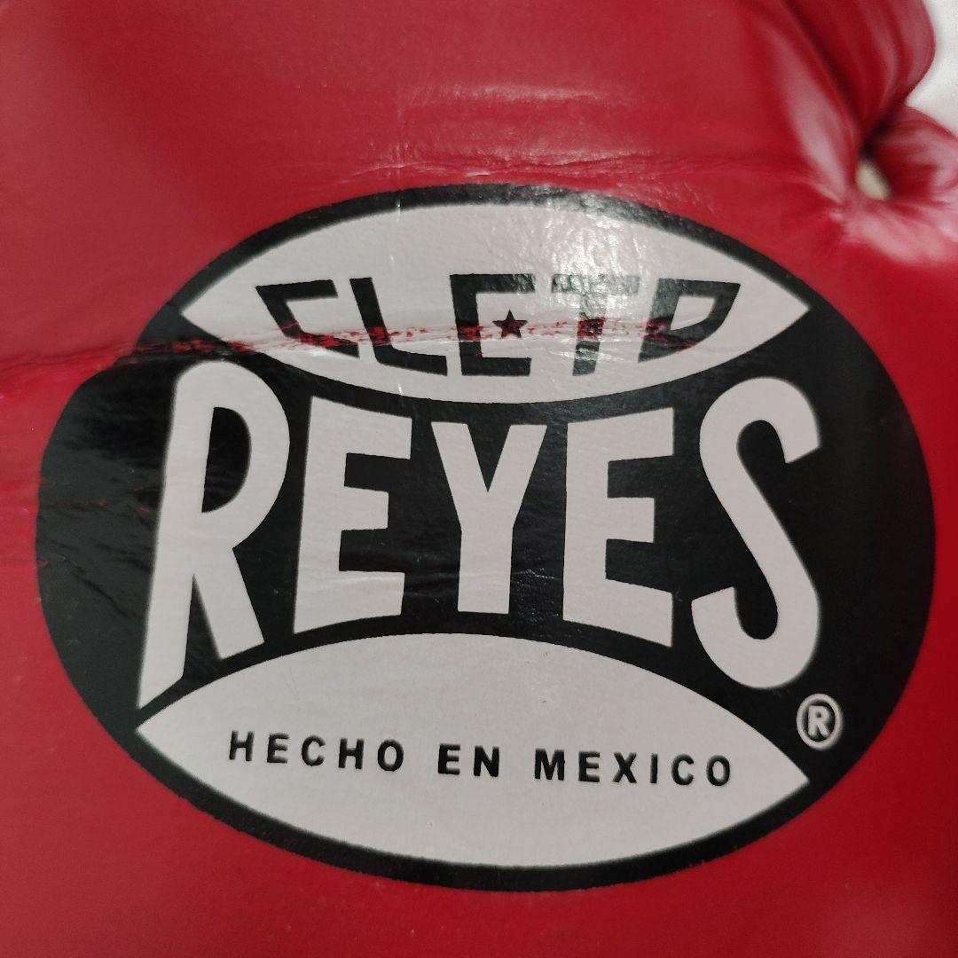 レイジェス製試合用１０オンスボクシンググローブ