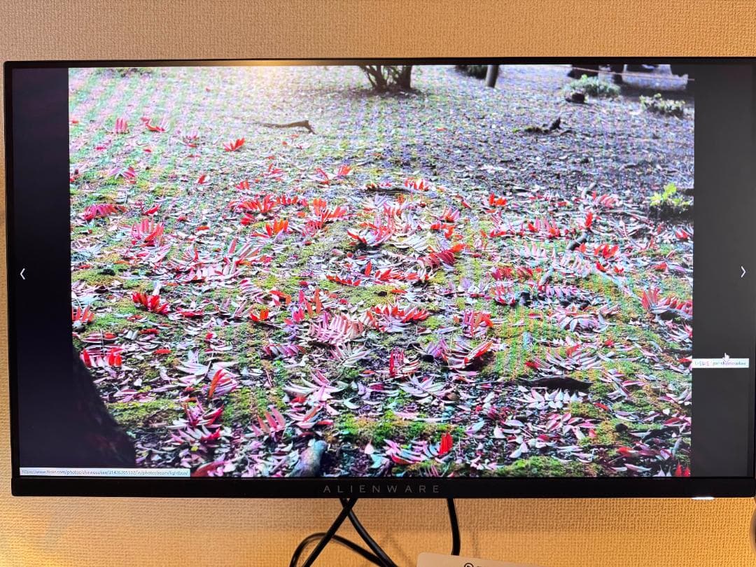 【新品/未開封】 Alienware IPS 320Hz ゲーミングモニター