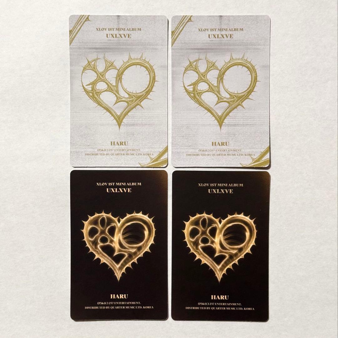 XLOV UXLXVE 封入トレカ コンプセット