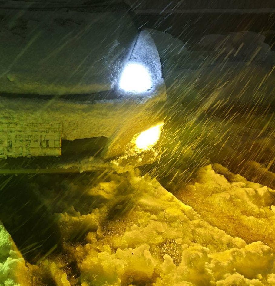 18LED　シリーズＰ　雪に強いイエローLEDバルブ　H11H816HB4H3