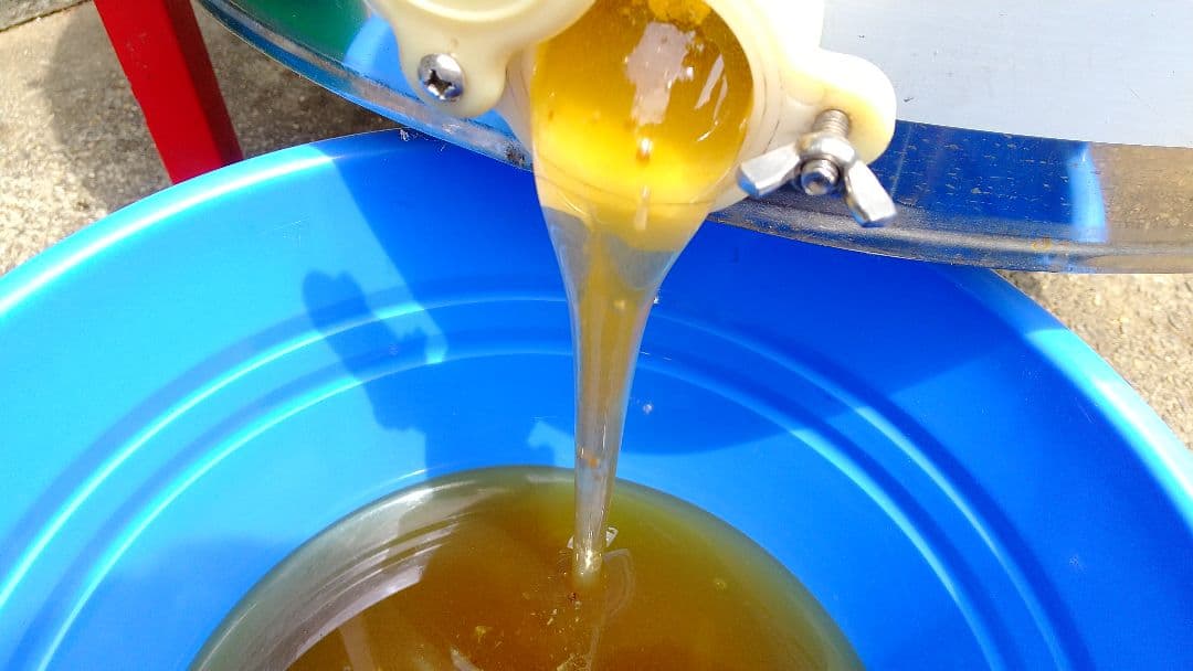 はちみつ 2kg 国産 天然 純粋 生蜂蜜 2000g 【養蜂家直送】6月新蜜