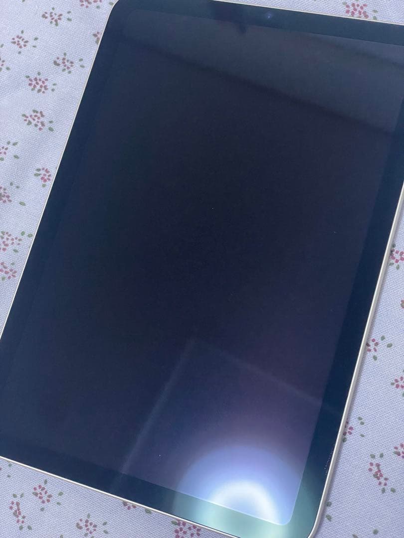 iPad Mini 第6世代 (8.3インチ) 256GB Wi-Fi モデル