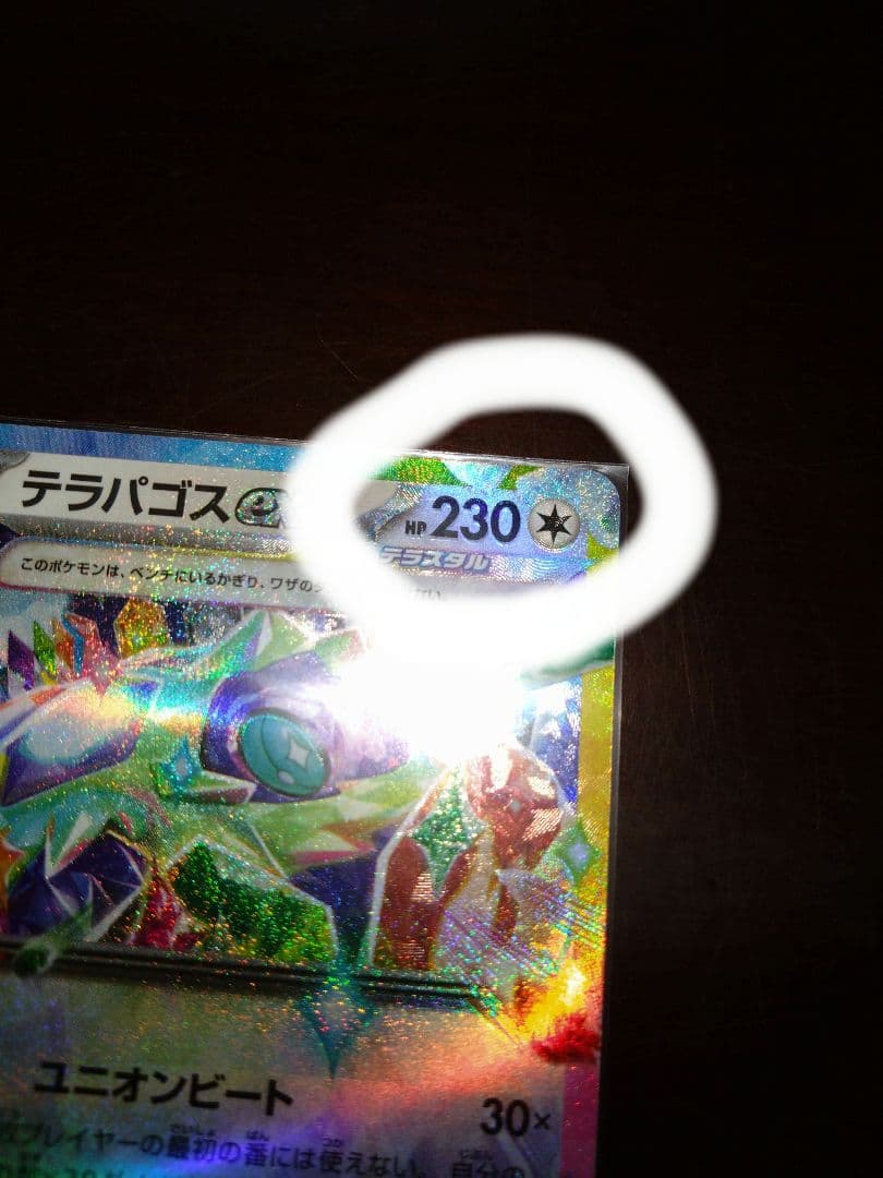 テラパゴスex ポケモンカード エラーカード