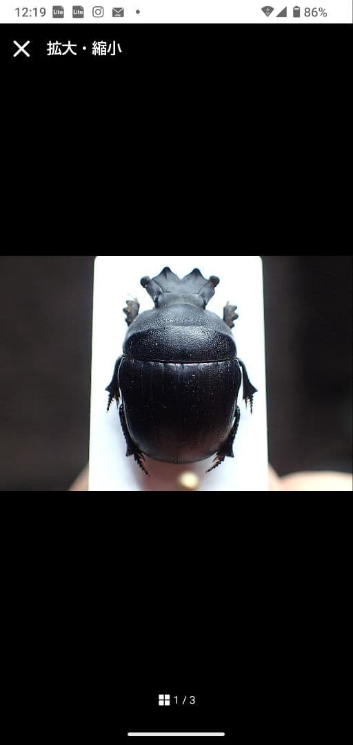 まとめ売り専用