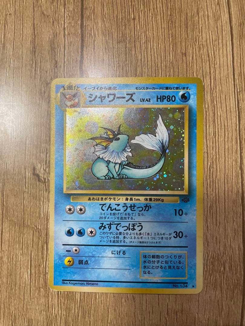 旧裏ポケモンカード ブイズセット