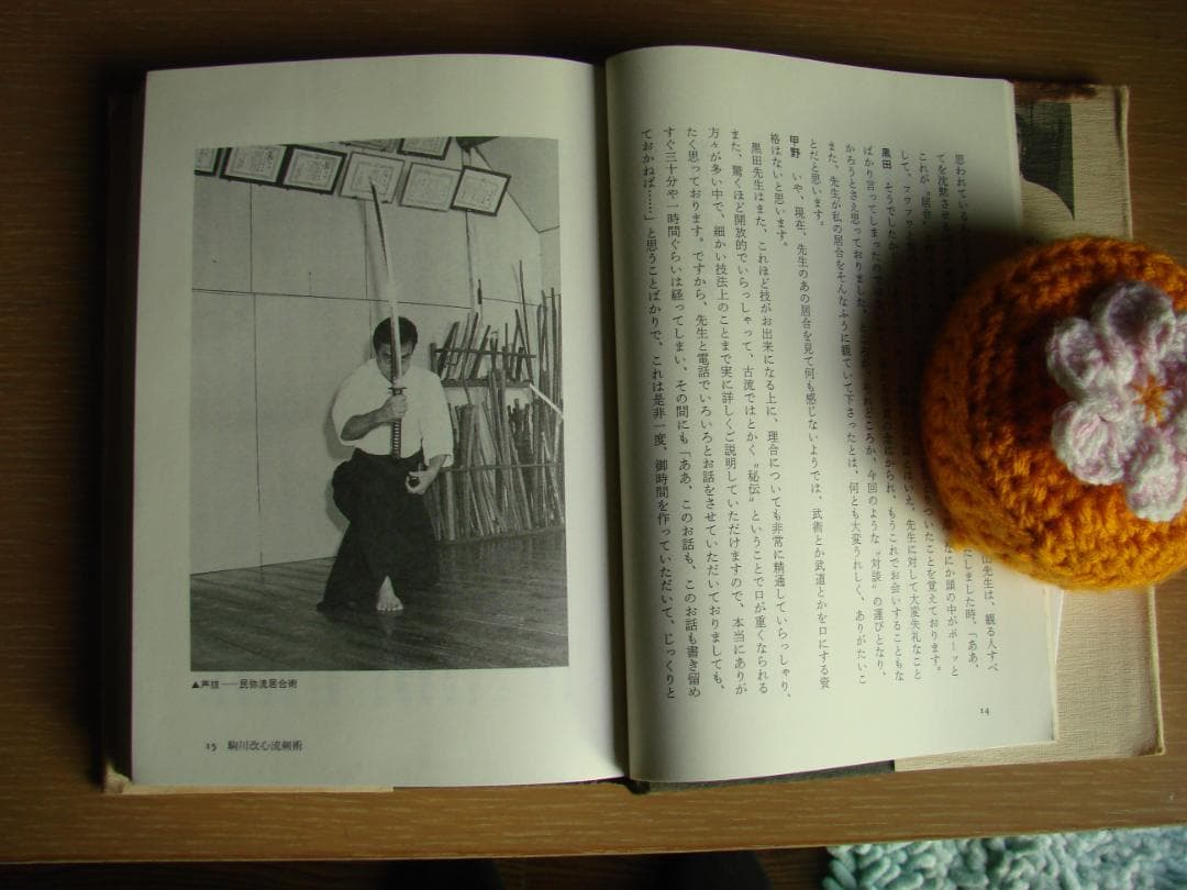 武術談義　甲野善紀　黒田鉄山